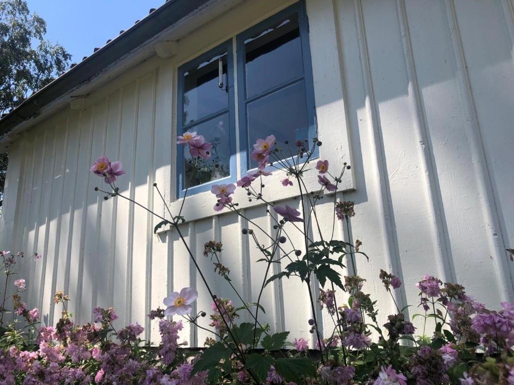Seaside Cottage Haga Park Frobygarda Exterior foto